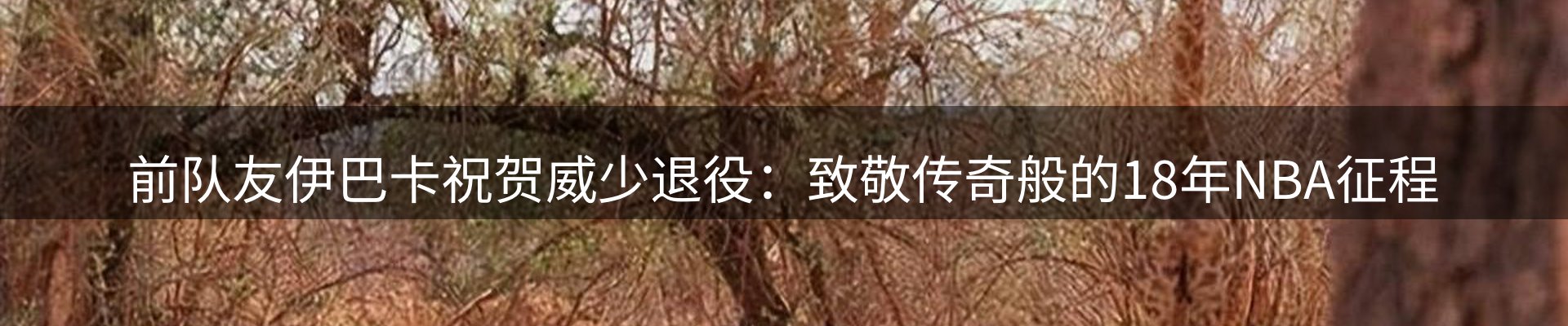 新闻天地