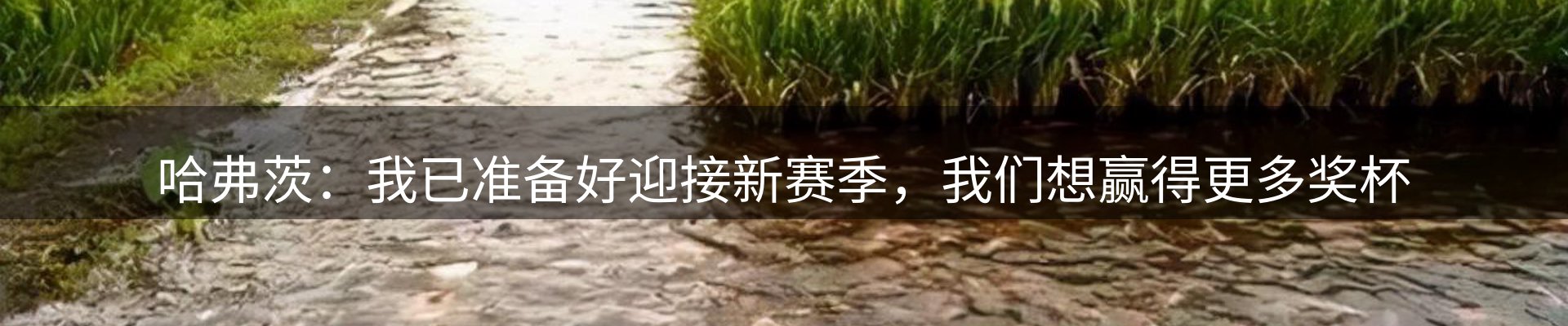 新闻天地