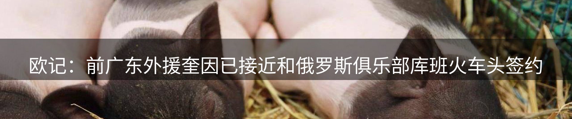 新闻天地