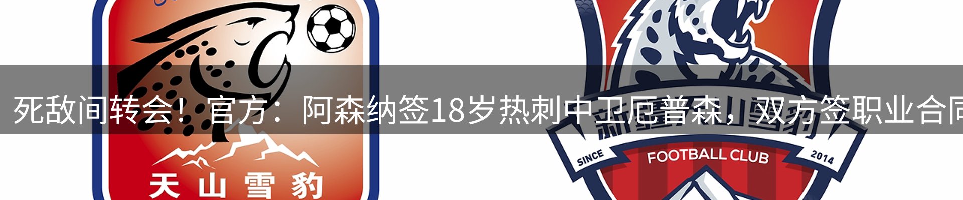 新闻天地
