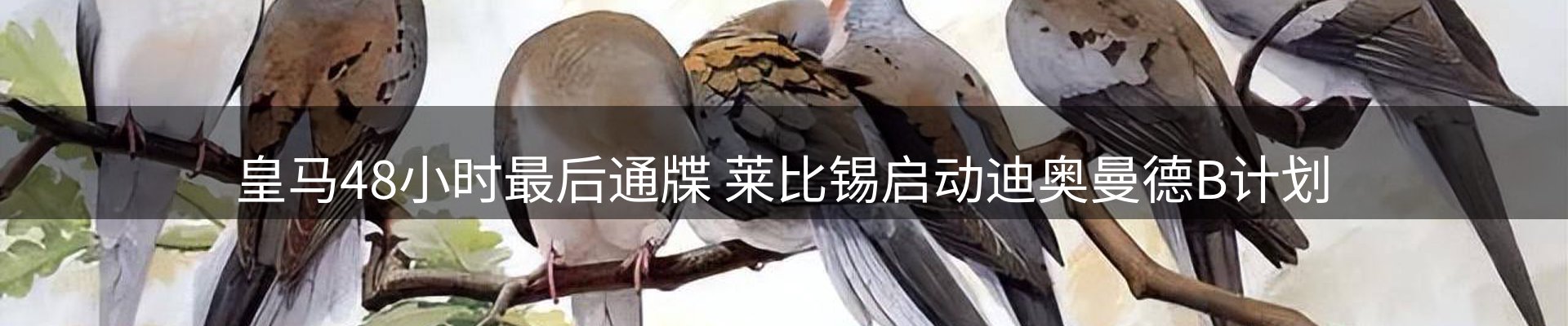 新闻天地
