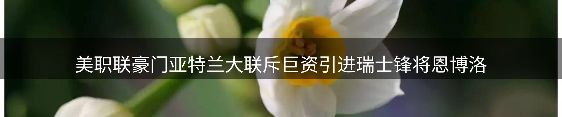 新闻天地