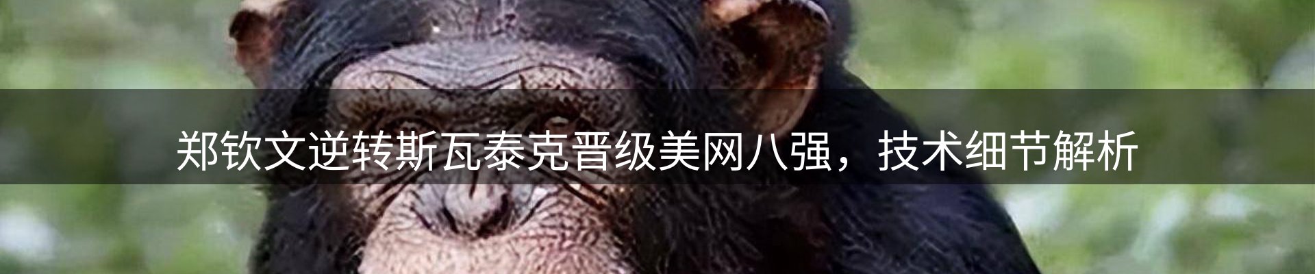 新闻天地