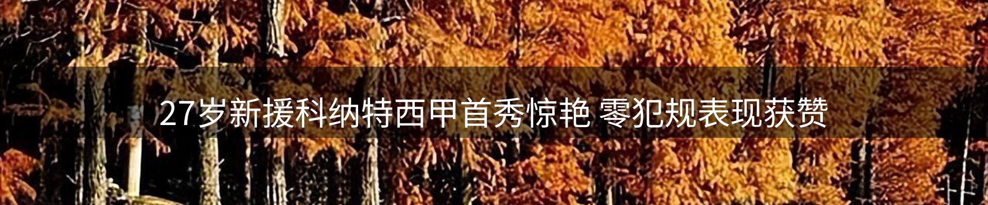 新闻天地