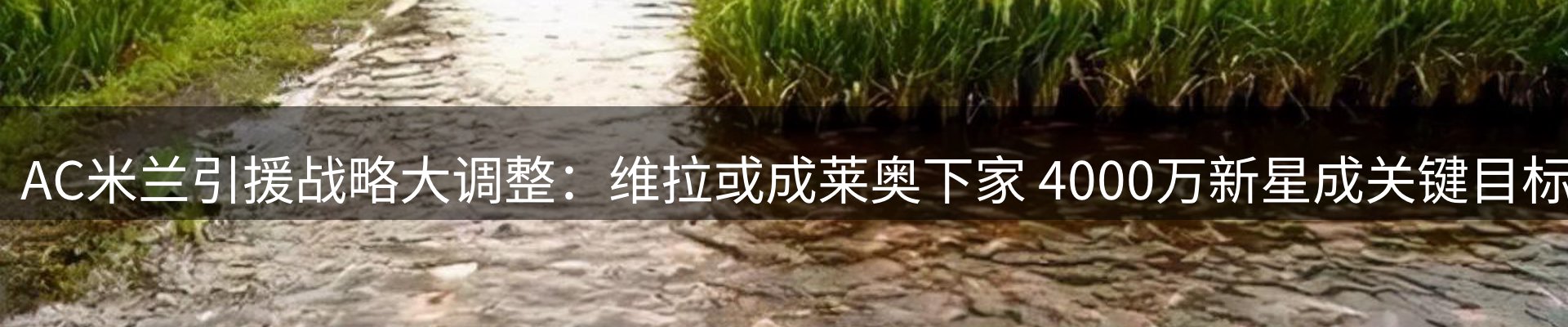 新闻天地